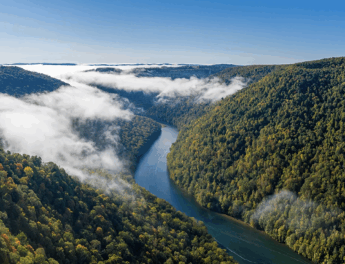 The War on Poverty Failed Them—and They’re No Longer Waiting For Help